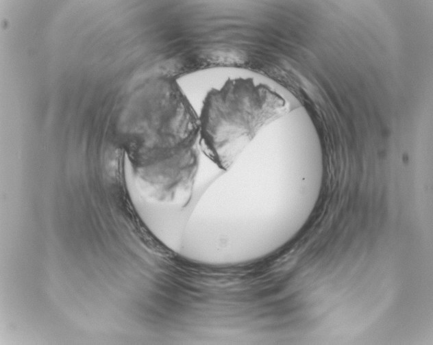 X0000088620553200706151855