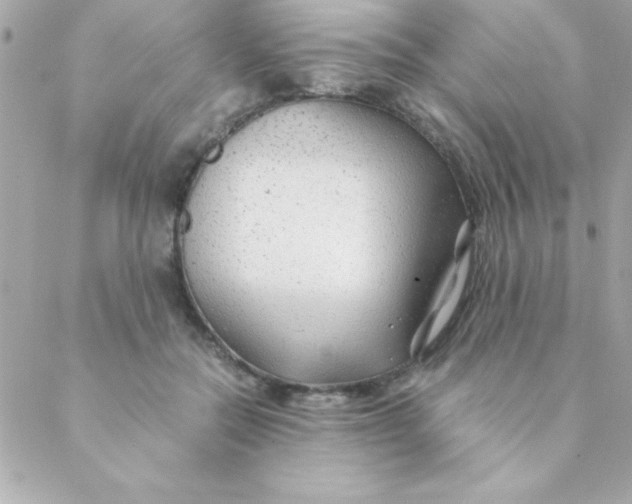 X0000088620554200706151855