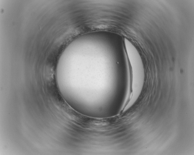 X0000088620555200706151855