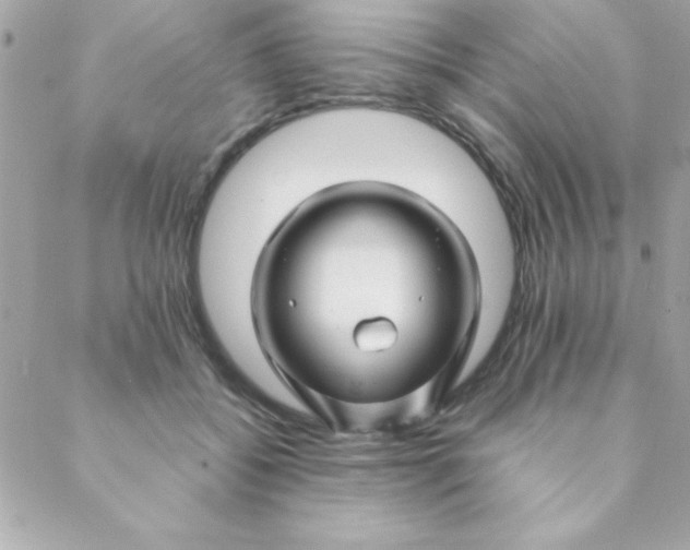 X0000088620556200706151855