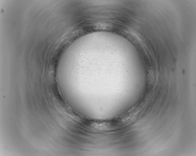 X0000088620557200706151855