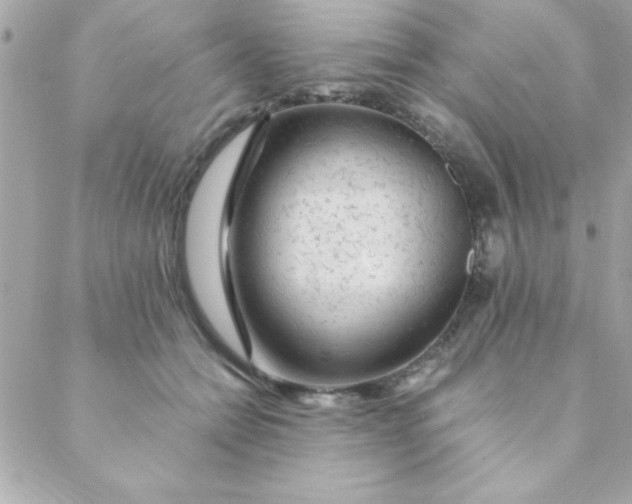 X0000088620558200706151855