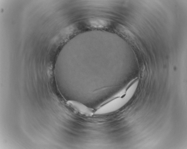 X0000088620559200706151855