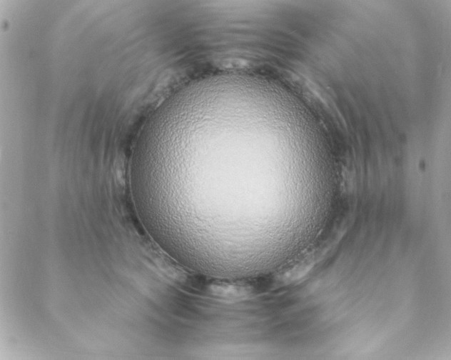 X0000088620561200706151855