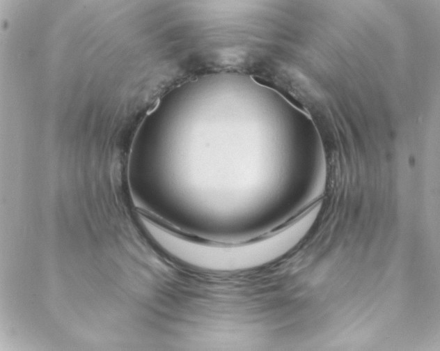 X0000088620562200706151855