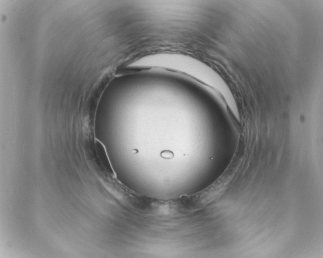 X0000088620564200706151855