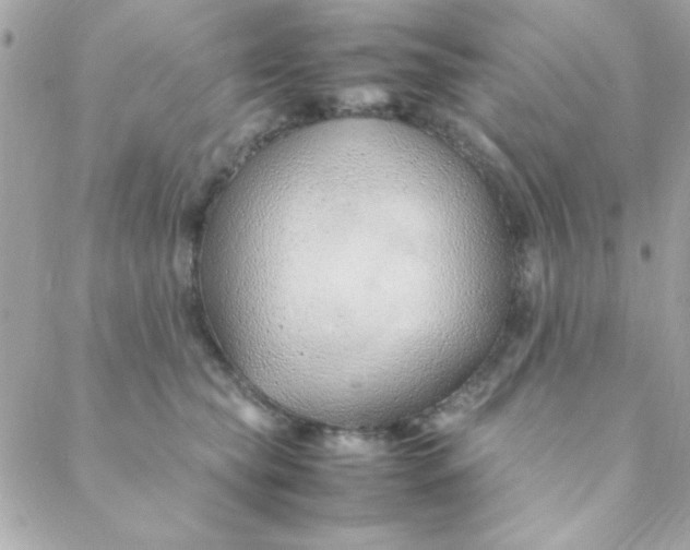 X0000088620565200706151855