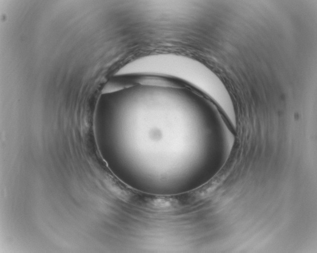 X0000088620566200706151855