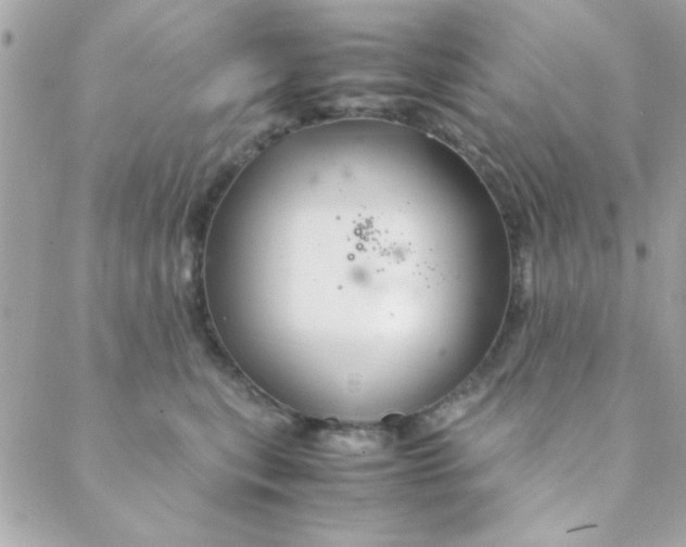 X0000088620567200706151855