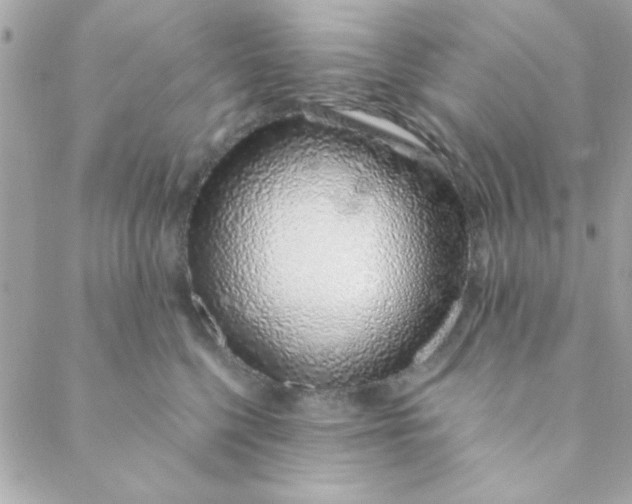 X0000088620568200706151855