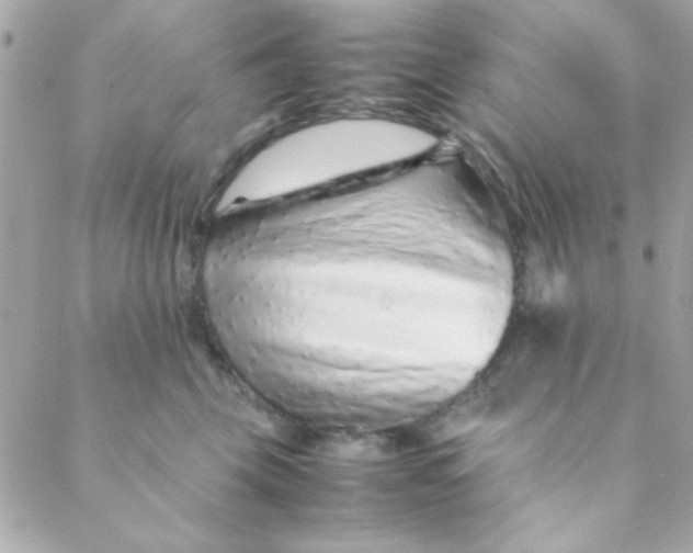 X0000088620569200706151855