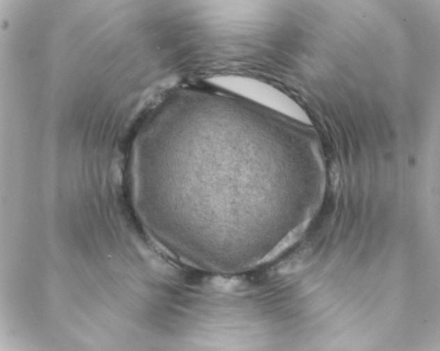 X0000088620570200706151855