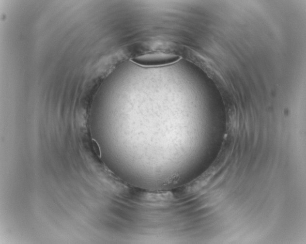 X0000088620571200706151855