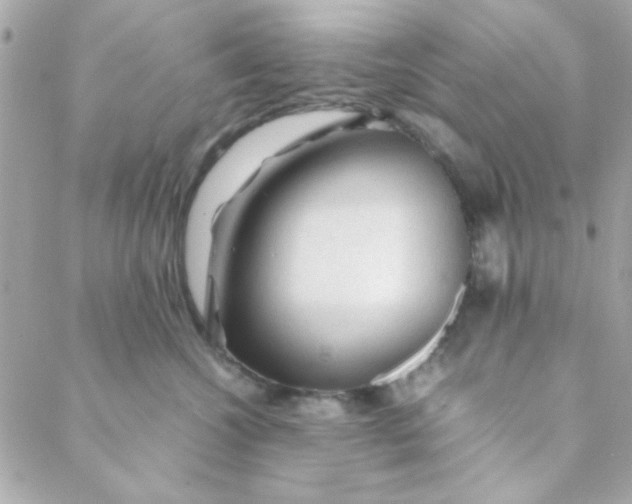 X0000088620572200706151855