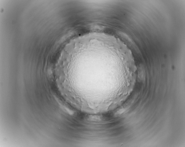 X0000088620573200706151855