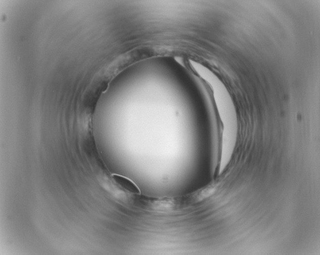 X0000088620574200706151855