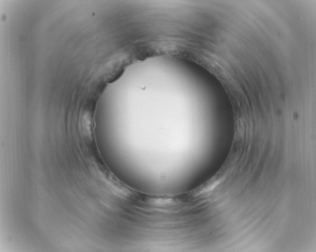 X0000088620575200706151855