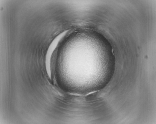 X0000088620576200706151855