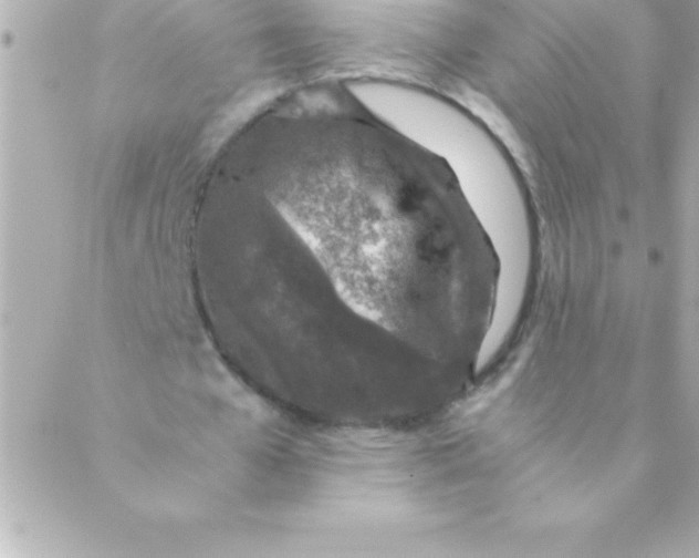 X0000088620577200706151854