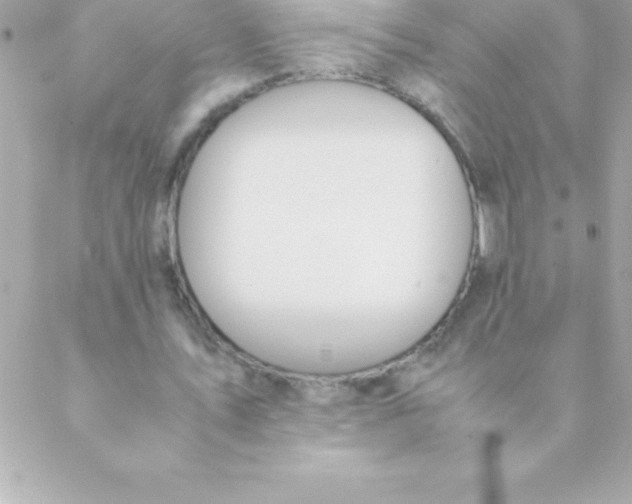 X0000088620579200706151854