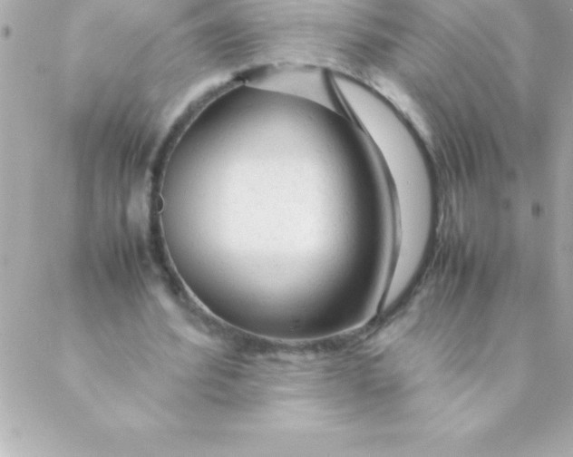 X0000088620580200706151854