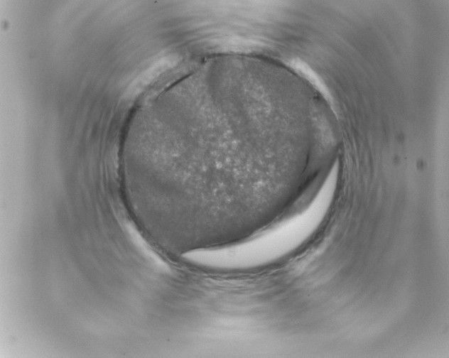 X0000088620581200706151854