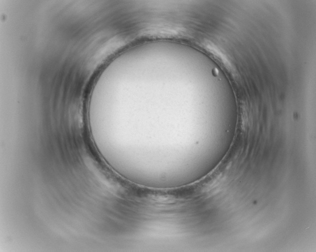 X0000088620582200706151854