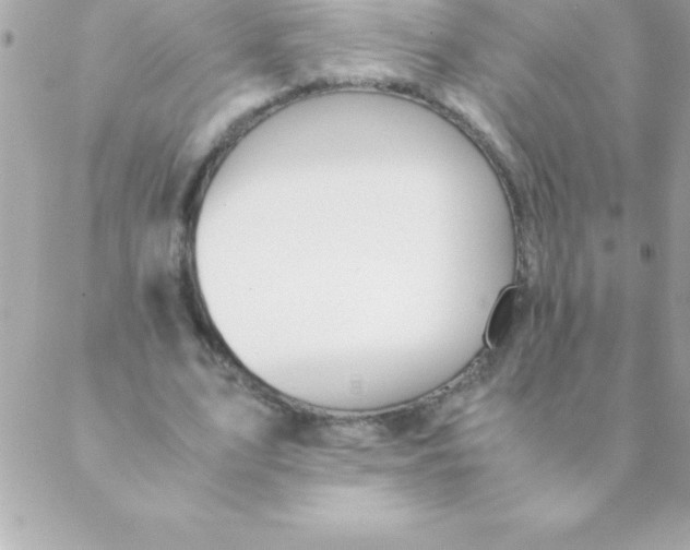 X0000088620583200706151854