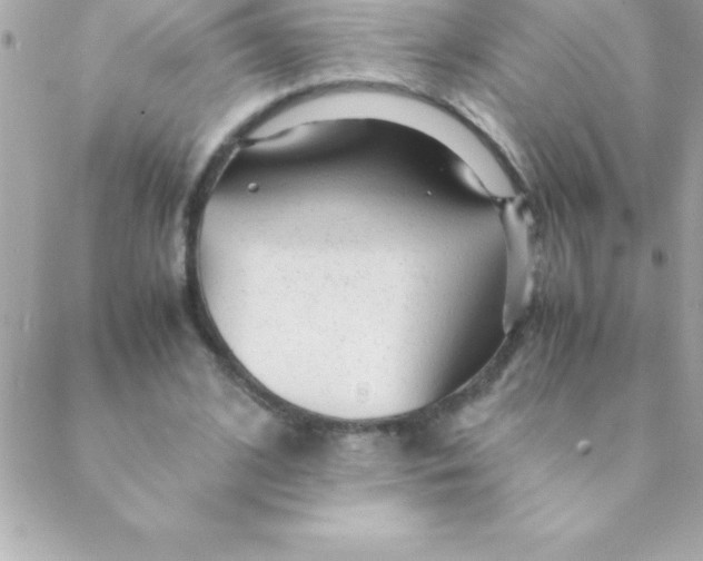 X0000088620584200706151854