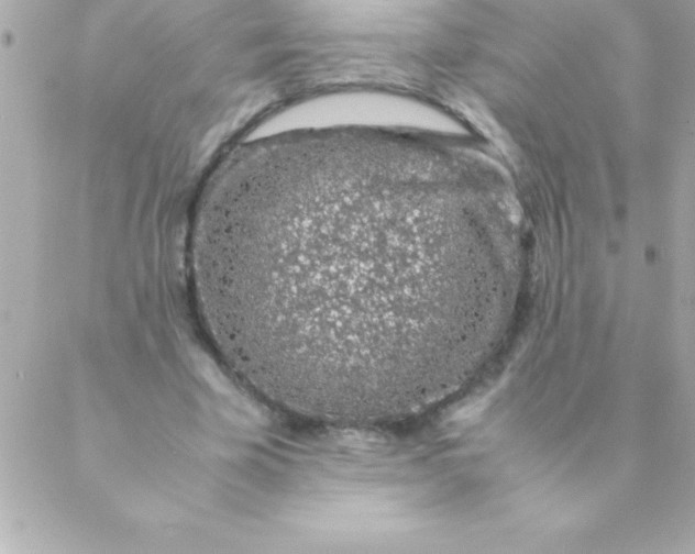 X0000088620585200706151854