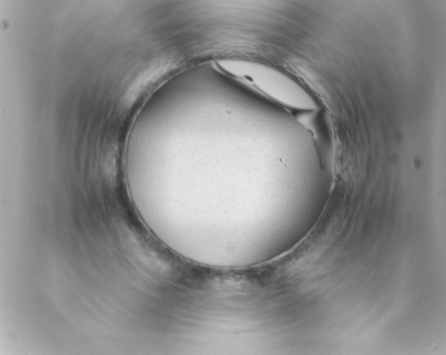 X0000088620586200706151854