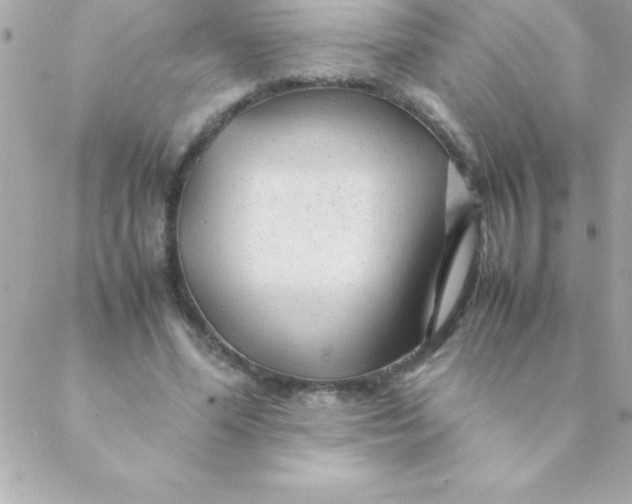 X0000088620588200706151854