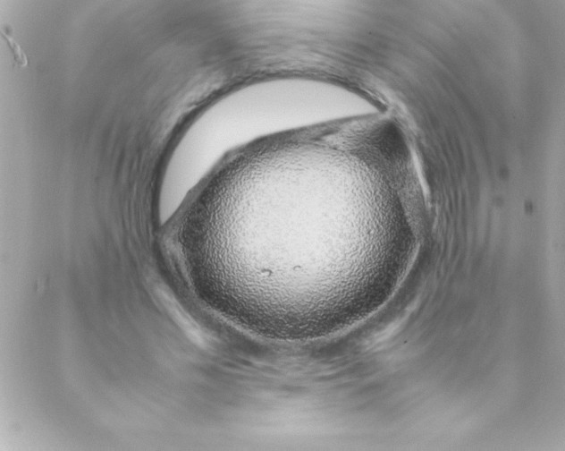 X0000088620589200706151854