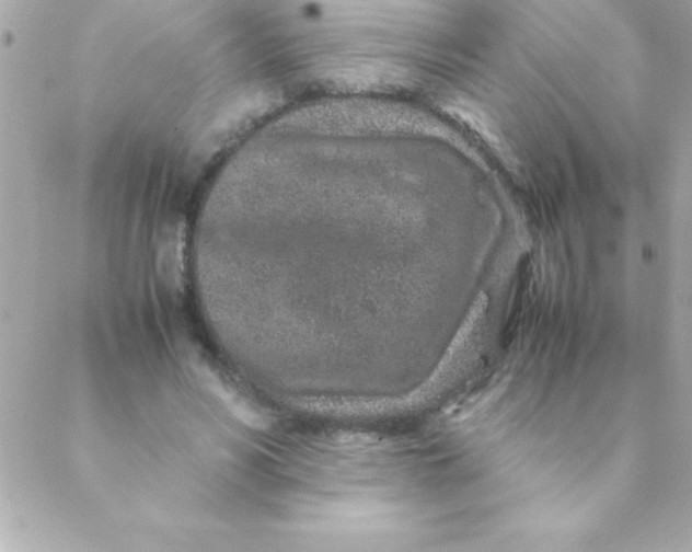 X0000088620590200706151854