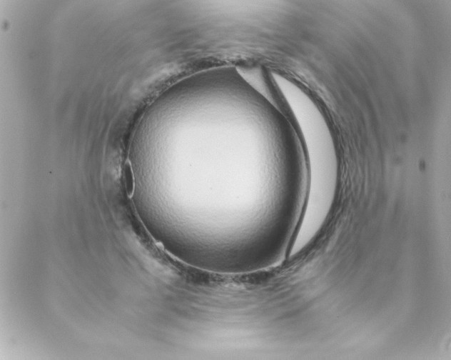 X0000088620593200706151854