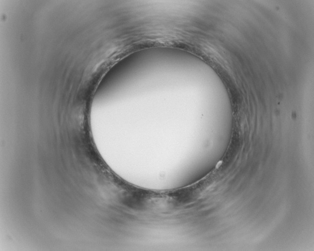 X0000088620595200706151854