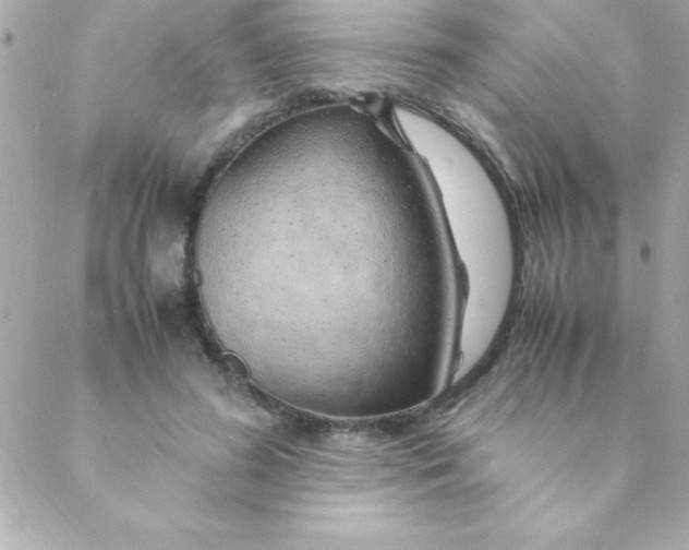 X0000088620596200706151854