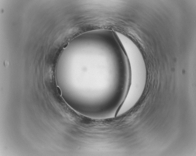 X0000088620597200706151854