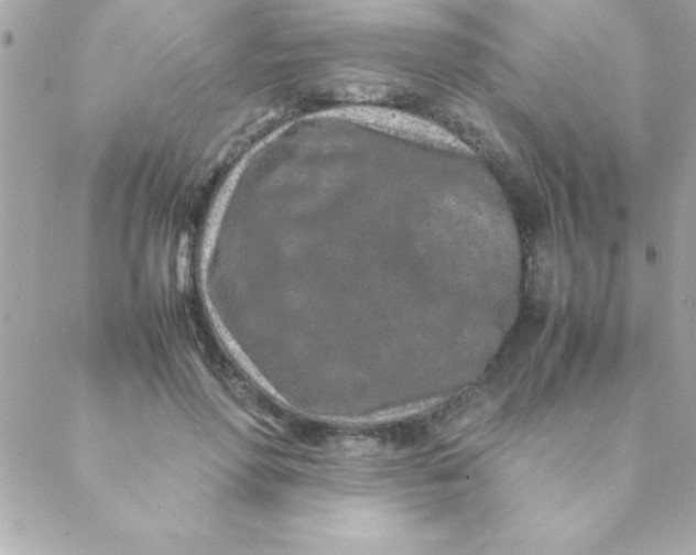 X0000088620598200706151854