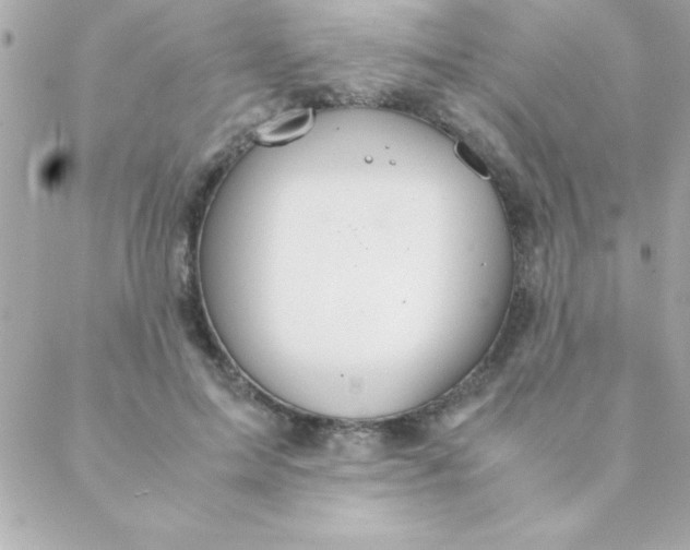 X0000088620599200706151854