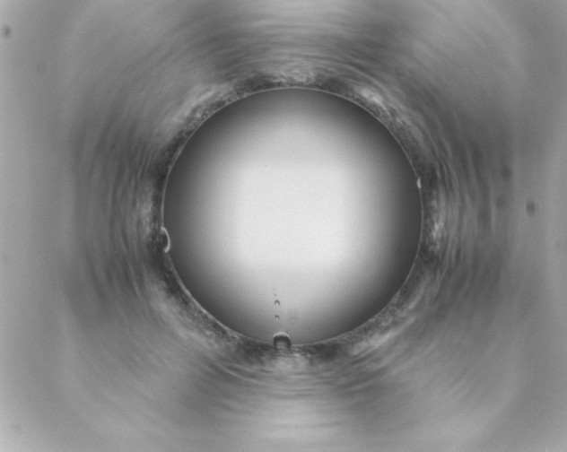 X0000088620600200706151854