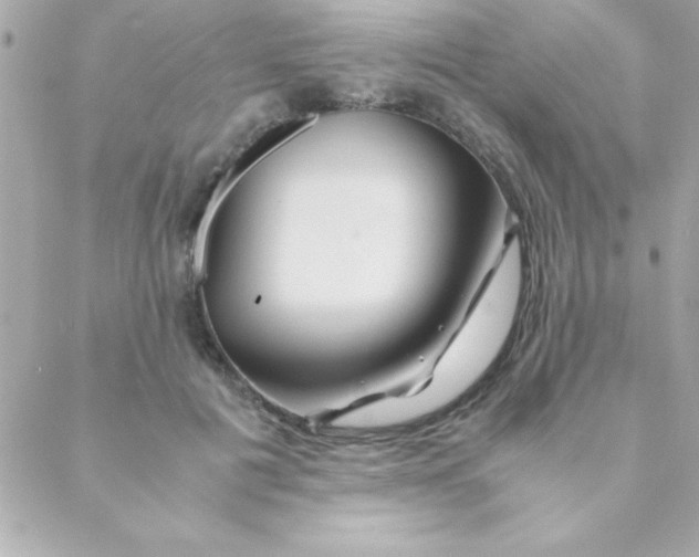 X0000088620601200706151854