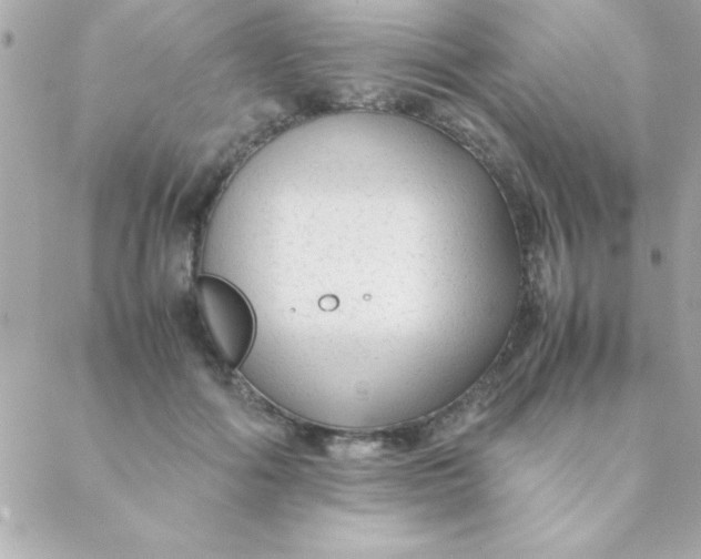 X0000088620602200706151854