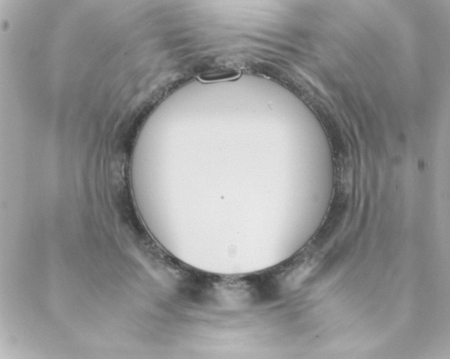 X0000088620603200706151854