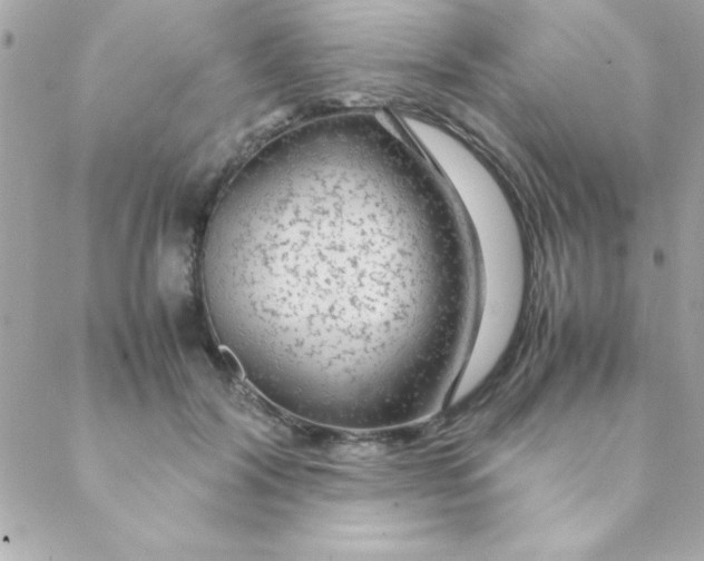 X0000088620604200706151854