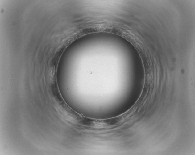 X0000088620605200706151854