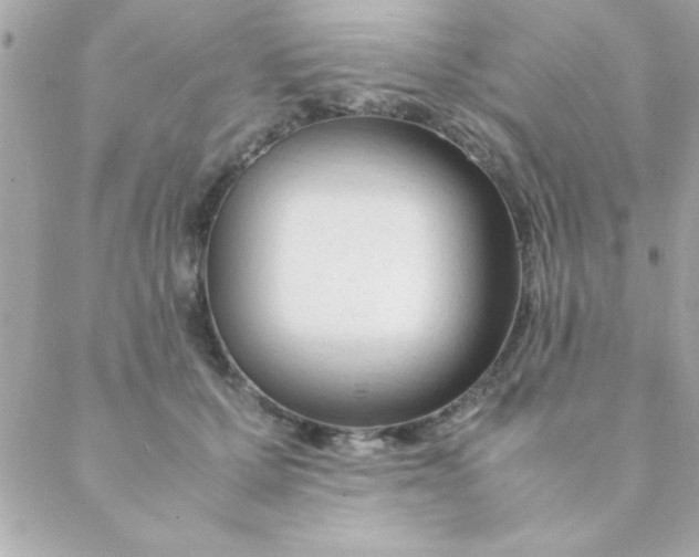 X0000088620607200706151854