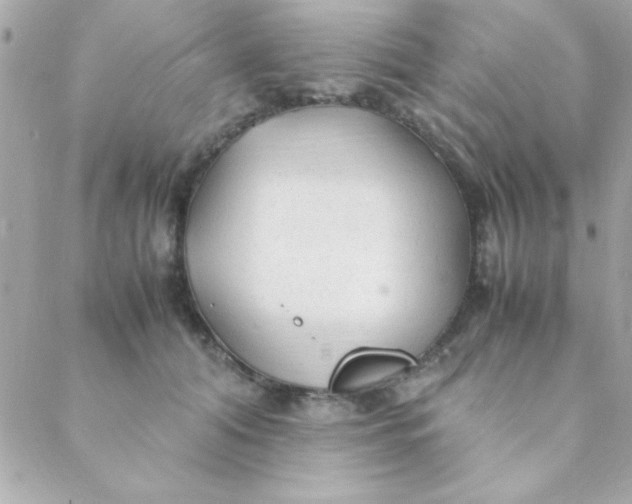 X0000088620608200706151854