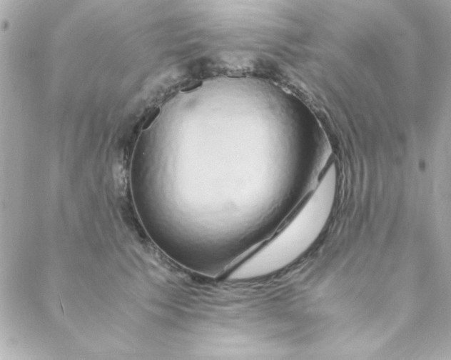 X0000088620609200706151854