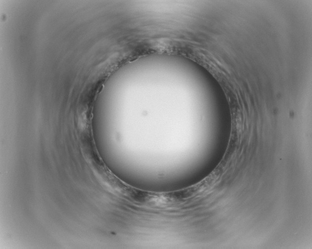 X0000088620611200706151854